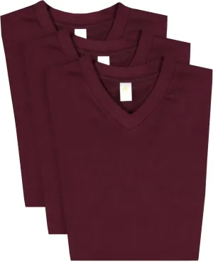 Access Men's V Neck T Shirts, Comfortable, and Stylish Heavyweight Short Sleeve Cotton V Neck T Shirts for Men, 3-Pack